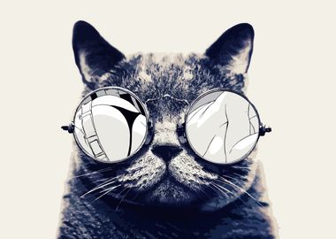 Cool Cat in Sunglasses