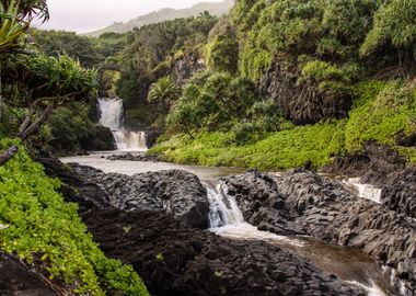 Waterfall in Lush Jungle in Hawaii 