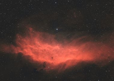 California Dreamin' - California Nebula