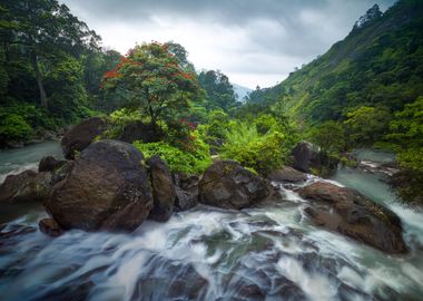 Enchanted Rapids