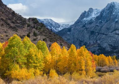 Autumn Mountain Landscape