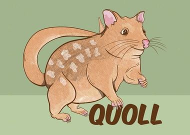 Cute Quoll Illustration