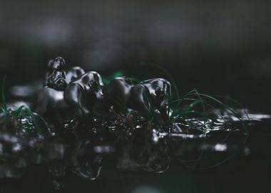 Gorilla Figurines in Water