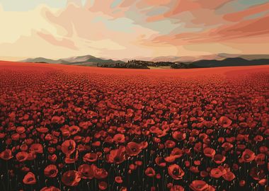 Poppy Field at Sunset