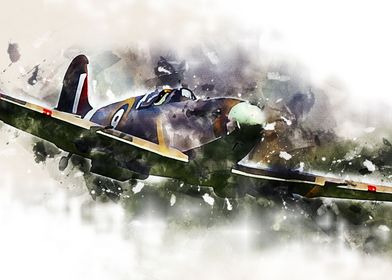 Painted Aircraft-preview-0