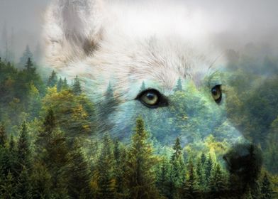 Double Exposure-preview-0