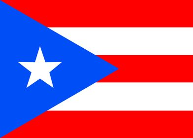 United States Flags-preview-0