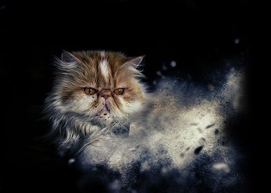 Cute And Cool Animals-preview-1