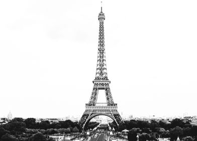 B&w Chic Paris-preview-3