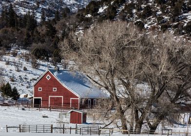 This Is America-preview-0