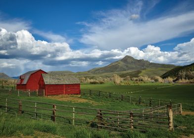 This Is America-preview-1