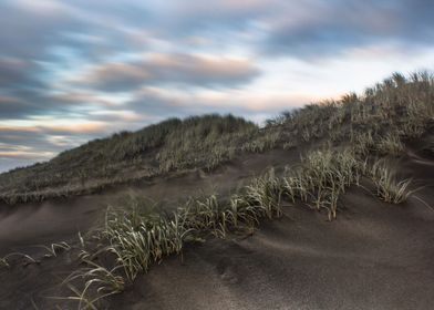 New Zealand Landscapes-preview-3