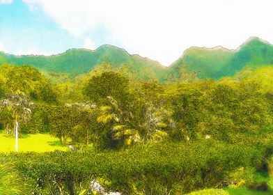 Hawai Landscape-preview-2
