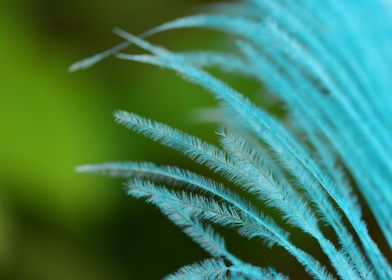 Photography-preview-3