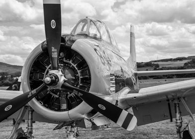 Photography-preview-0