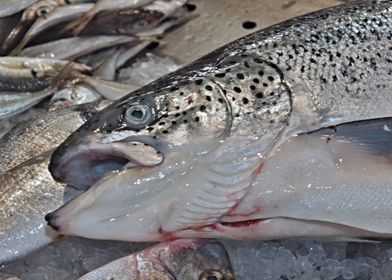 Food And Drinks-preview-2