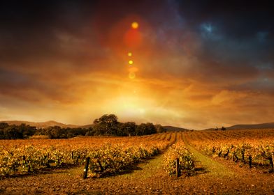 Ultimate Collection-preview-1