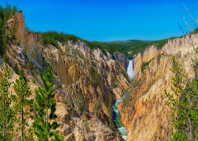 Nature-preview-2