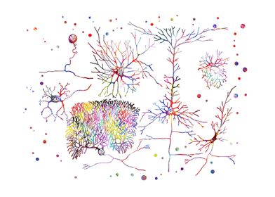 Anatomy Medical Science-preview-1