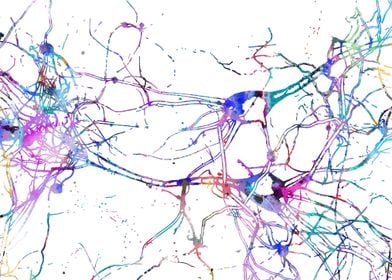 Anatomy Medical Science-preview-0