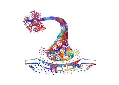 Anatomy Medical Science-preview-2