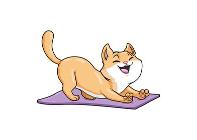 Short Yoga Quotes Funny Cat  International Society of Precision
