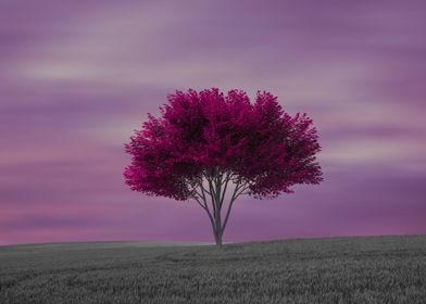 Miscellaneous-preview-3