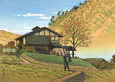 Japanese Landscapes-preview-2
