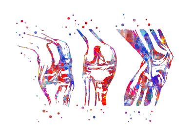 Anatomy Medical Science-preview-2