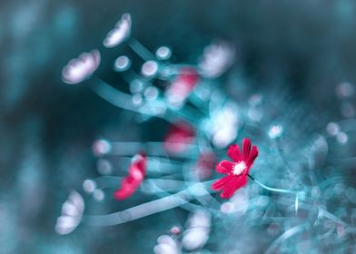 Garden Flowers-preview-2