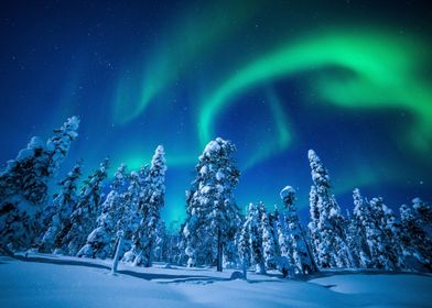 Winter Wonderland-preview-2