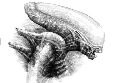 David Sketches-preview-3