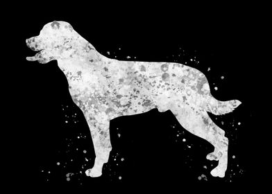 White Black Art-preview-1