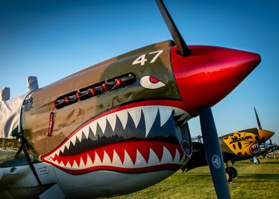 Flights Of Angels-preview-3