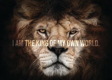 Animal Motivation-preview-1