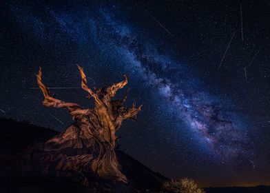 Space Photos-preview-0