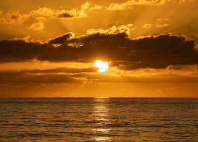 Navy And Naval Collections-preview-1