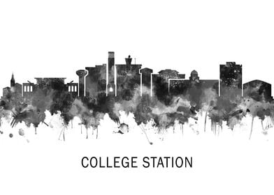 Skyline Landscape Bw-preview-3