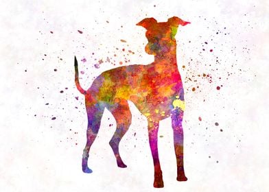 Dogs In Watercolor-preview-1