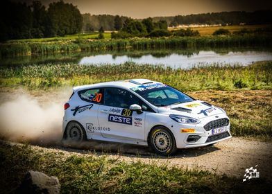 Ford Fiesta Rally 4-preview-3