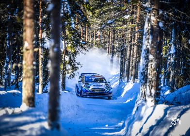 Arctic Rally-preview-3