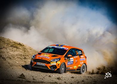 Ford Fiesta Rally 4-preview-2