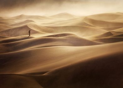 Landscapes-preview-2