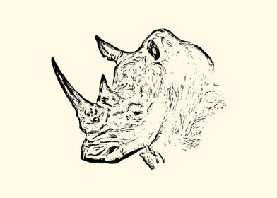 Reproduction Haut de Gamme Nouveau Poster Rhinoceros Portrait de Johan Swanepoel Poster 20 x 30 cm 