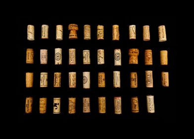 Wine Motive-preview-2