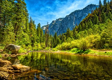 National And State Parks-preview-1