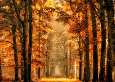 Landscapes-preview-0