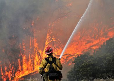 Serve And Protect Service-preview-1