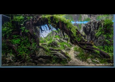 Aquascape Aquarien-preview-2