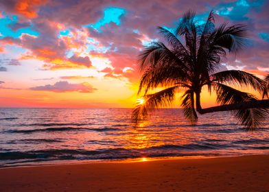 Nature Sunset Landscape-preview-1